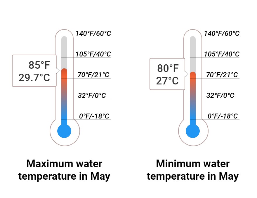 Average Sea temperature